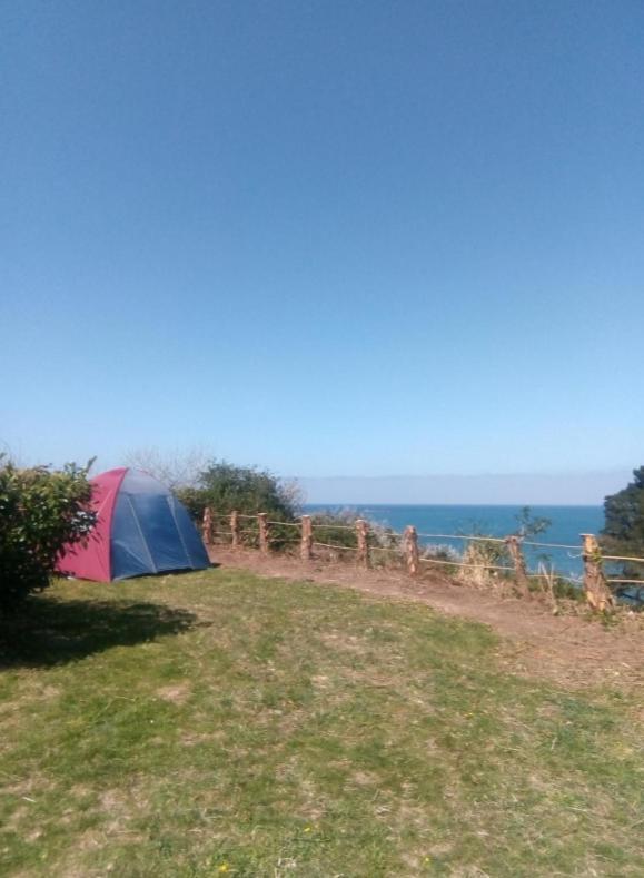 Aire De Camping Car, Caravane, Tente Emplacement Nu Avec Electricite Petit Camping Hotel Plestin-les-Greves Luaran gambar